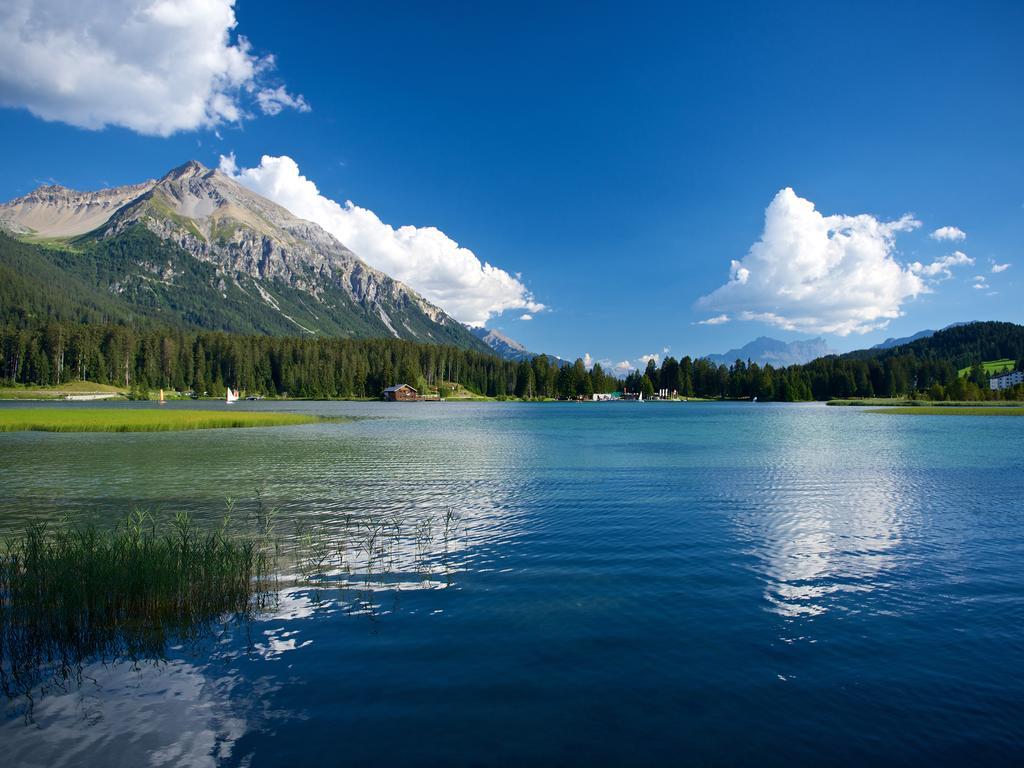 Schweizerhof Ferienwohnungen Lenzerheide 1 Eksteriør billede